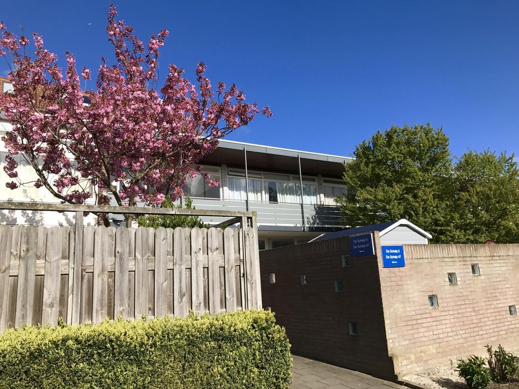 Schelp 47 Apartman Zandvoort Kültér fotó